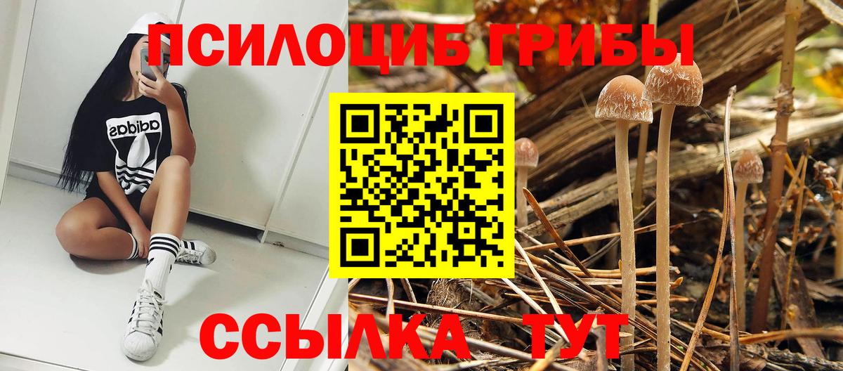 сколько стоит  Вход с VPN  Галлюциногенные грибы Cubensis  Воскресенск  Псилоцибиновые грибы Cubensis 